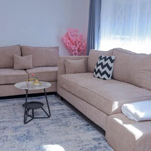 Suzzy homestays 1, hotel in Meru