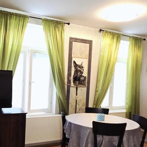Suur-Ameerika Apartment, hotel in Tallinn