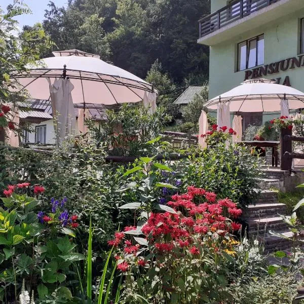 Pensiunea Ana, hotel v destinaci Cavnic