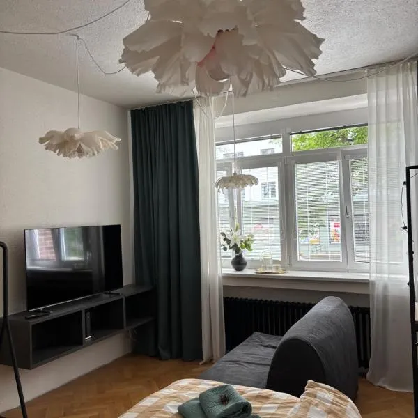 Studio apartment Monte Bu, hotel in Brno