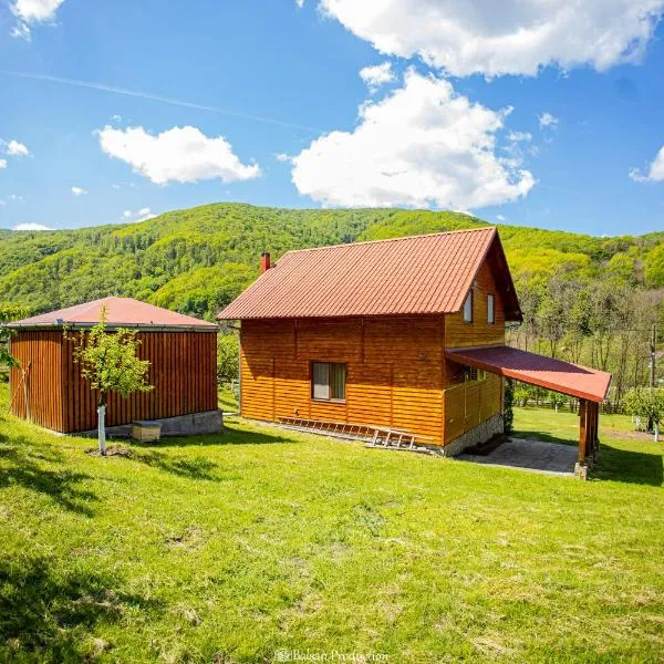 Casa de Vacanță Haneș - Private Cabin - Orchard & Mountain Views - Transalpina & viaTransilvanica: Pianu de Sus şehrinde bir otel