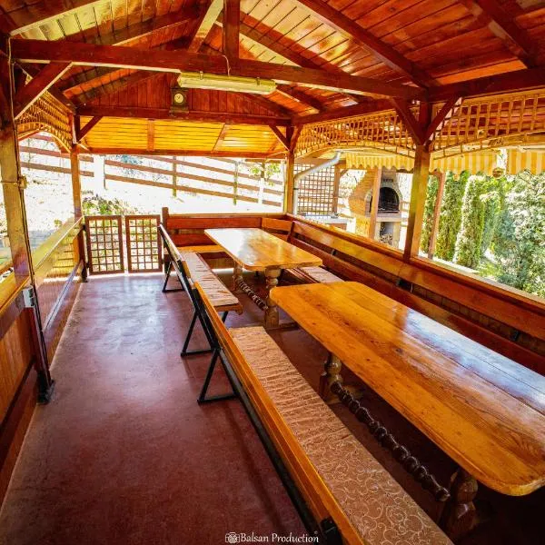 Casa de Vacanta Hanes, Hotel in Pianu de Sus