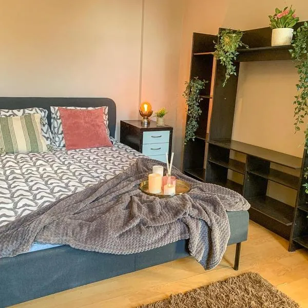 Central houses budget friendly, hotel in Bucharest