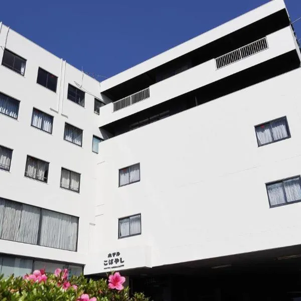 ホテル こばやし, hotel di Kanoya