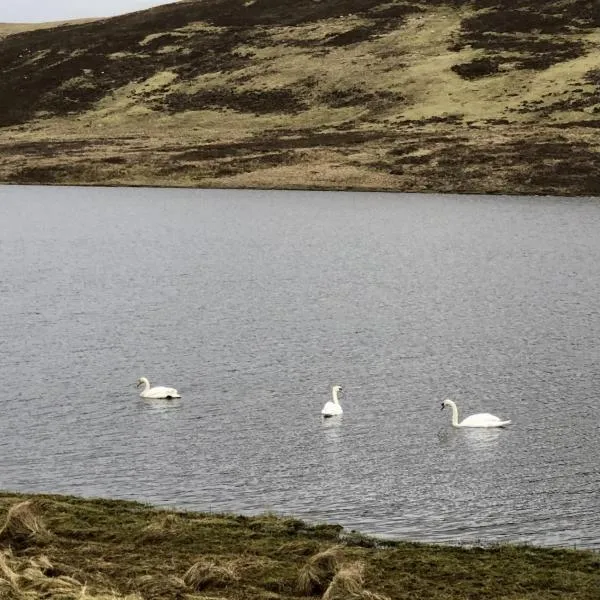 Scalloway Caravan Park, hotel in Scalloway