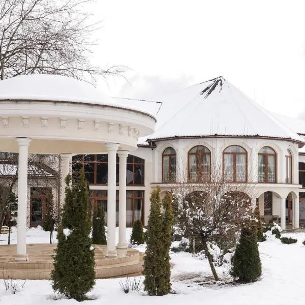 Hotel Stas, hotel a Irshava