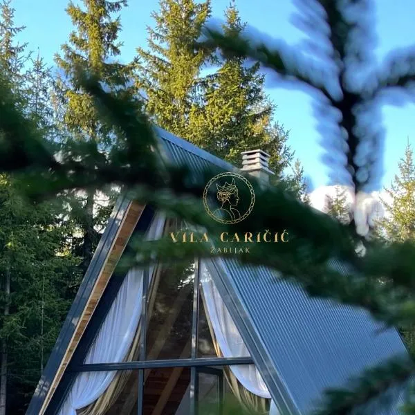 Vila Caričić Žabljak, hotel in Žabljak