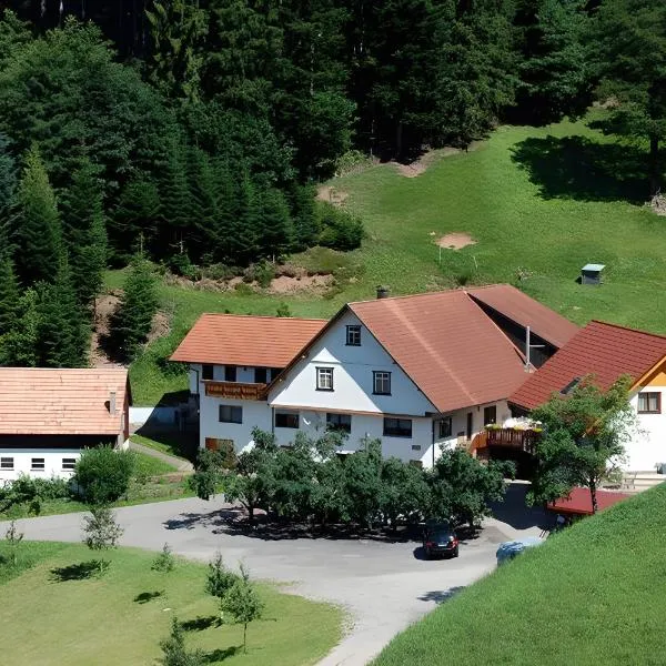 Holderstanzenhof, hotel v destinaci Bad Peterstal-Griesbach