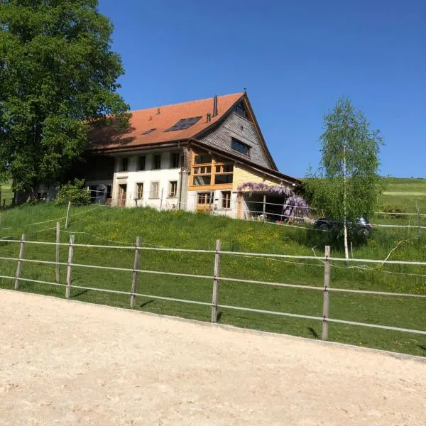 Sérénité et Nature dans une ferme équestre - loft lumineux de 140m2, hotel v destinaci Massonnens