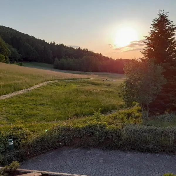 Schwarzwald Pur, hotel in Sasbachwalden