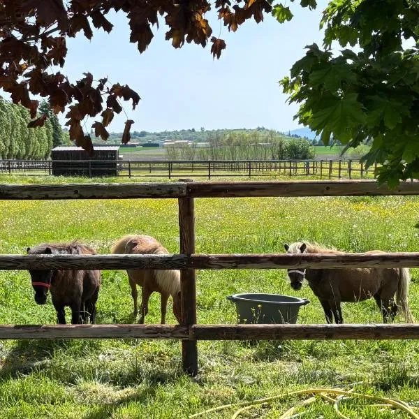 Le petit paddock, hotel v destinácii Villeneuve-lès-Cerfs