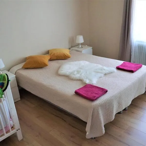 Comfortable Rica house in the centre in Billund, hotel in Billund