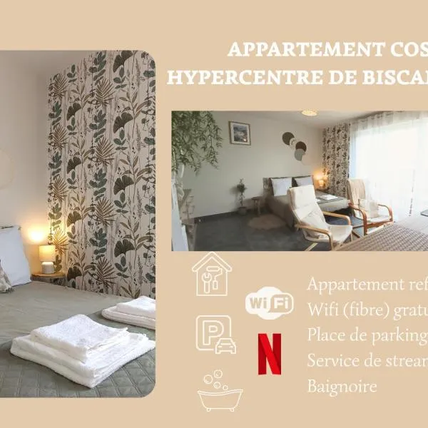Appartement Lumineux hypercentre - Biscarrosse, hotel in Biscarrosse