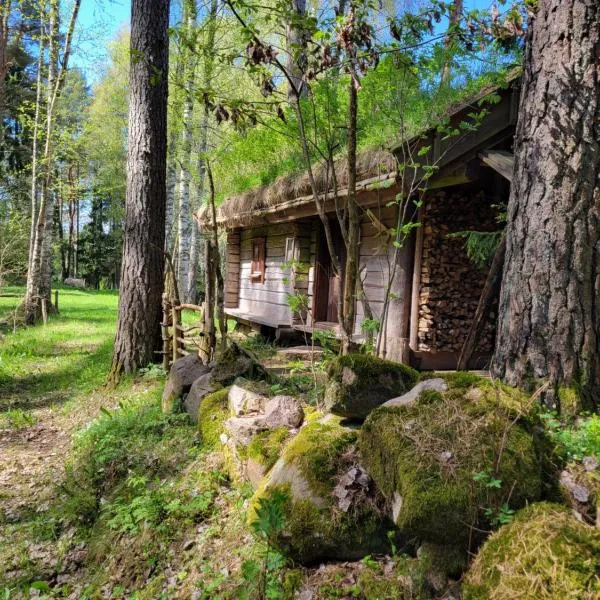 Timmerstugan i skogen, hotel v destinaci Tibro