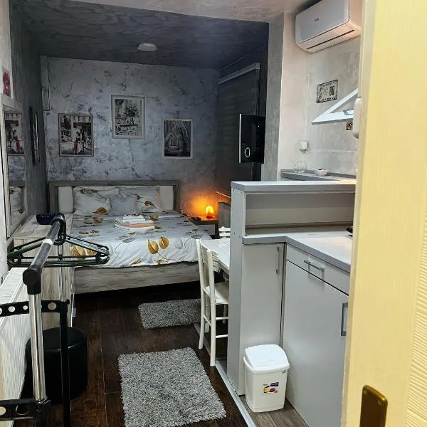 Apartman Park Kragujevac, hotel in Kragujevac