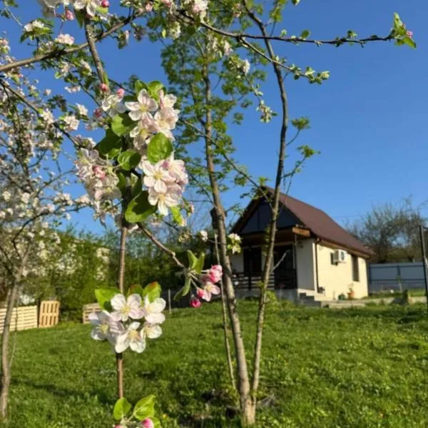 Cottage space, hotel a Ambrolauri