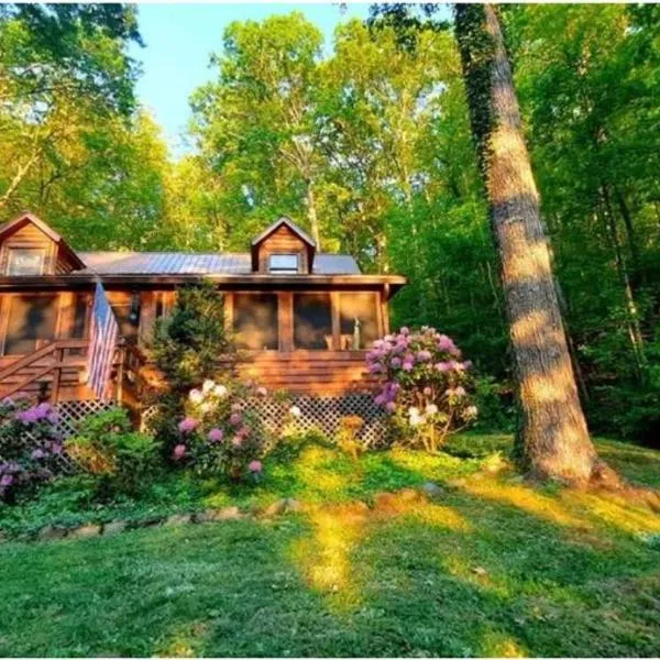 The Mountain Forager Cabin, Bryson City NC, hotel v destinaci Bryson City