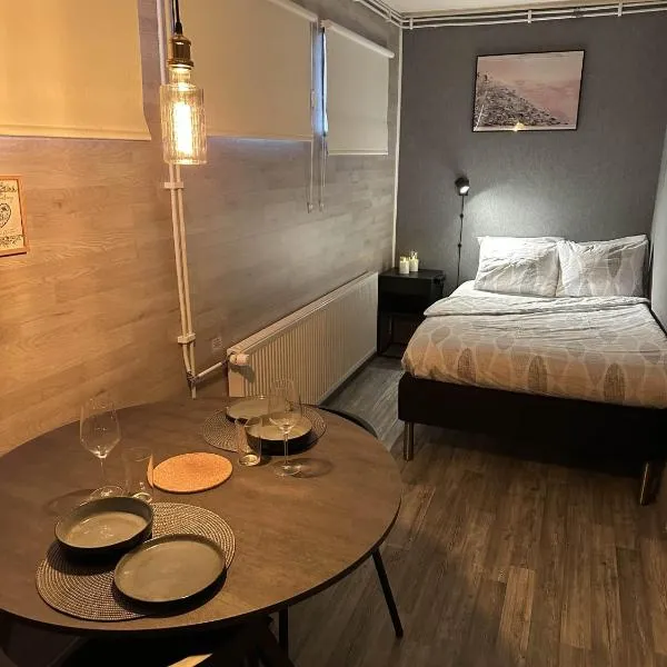 The Blueberry Inn, hotel v destinaci Rovaniemi