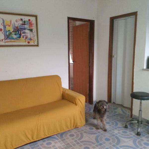 Daiane Santos Paixão - Foto 3