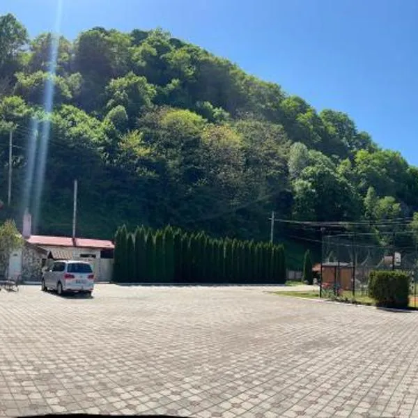 Podul Cetatii, hotel v destinaci Sebeşel