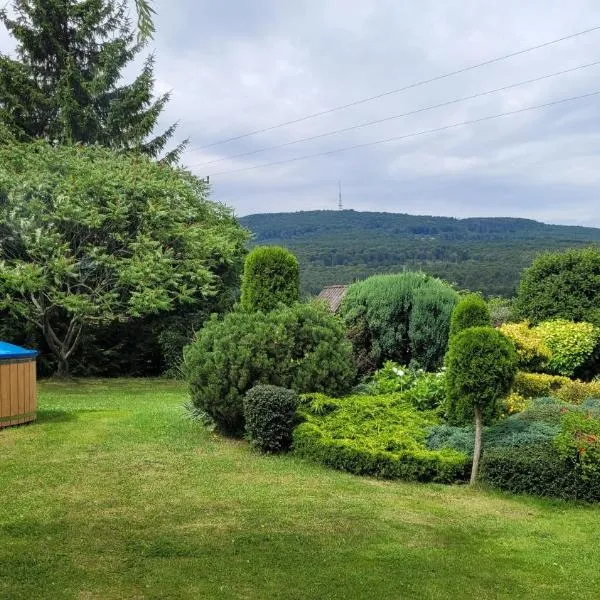 Sulidom, hotel in Sulistrowice