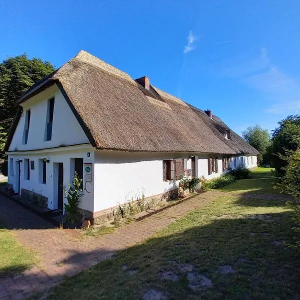 FeWo am Skulpturenweg, hotel in Hohen Demzin
