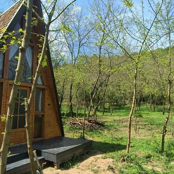 Retreat în padure, hotel in Buchin
