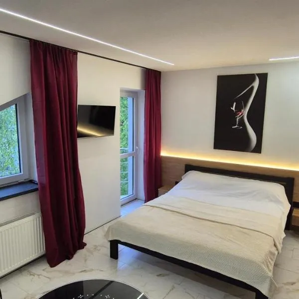 Apartment Afina, hotel v destinaci Kamenec Podolský
