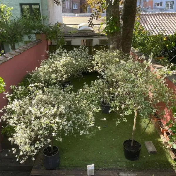 Le Flagey green place, hotel em Bruxelas