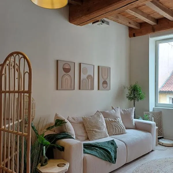 L'Appartement Pasteur, hotel in Chalon-sur-Saône