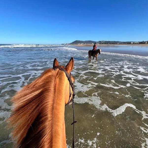 Royal Club Equestre Detroit Bed and Breakfast, hotel v destinaci Tanger