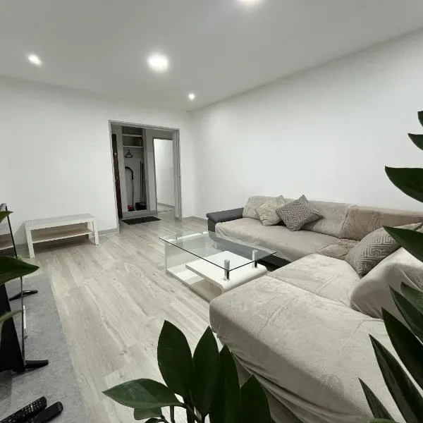 Lovely Emile Zola apartment, hotel in Laxou