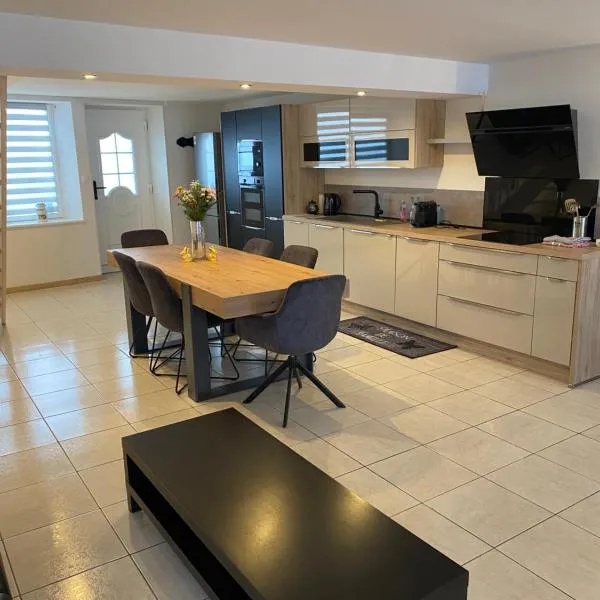 Résidence du Lion d'Or - Appartements & Vue sur rivière, hotell i Conflans