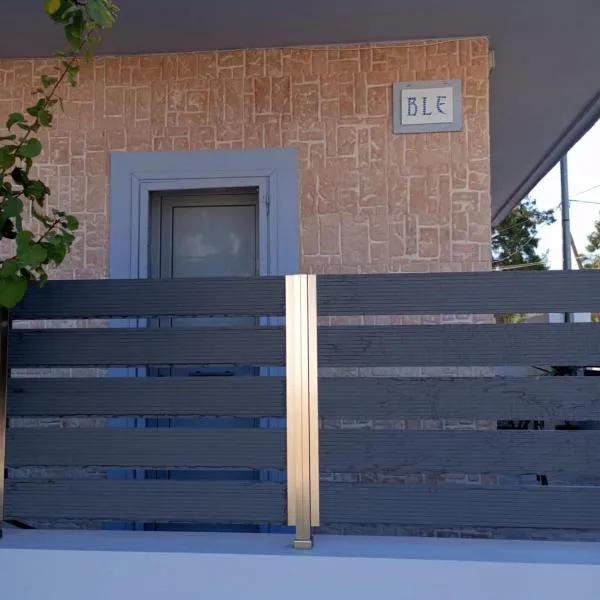 BLE apartments, hotel in Iraion