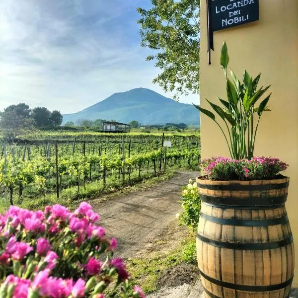 Vesuvio Inn Guest House e Wine Experience, khách sạn ở Boscotrecase