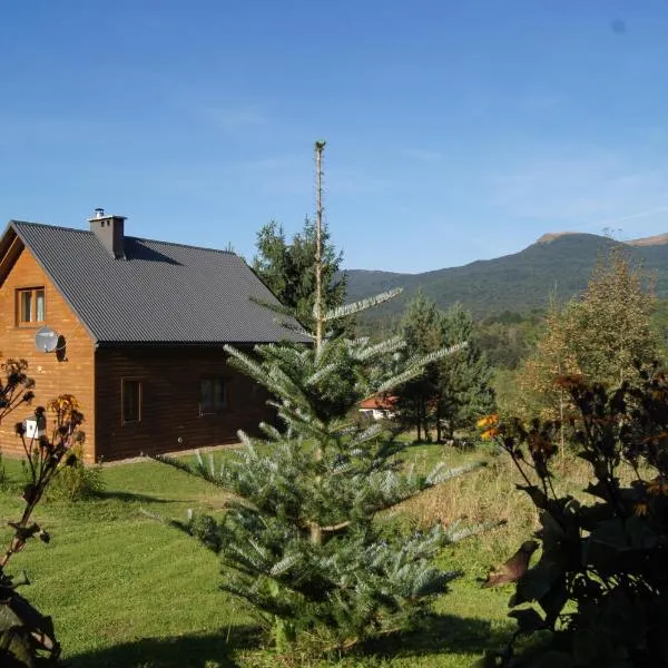 Domek Pod Jawornikiem II, hotelli kohteessa Wetlina