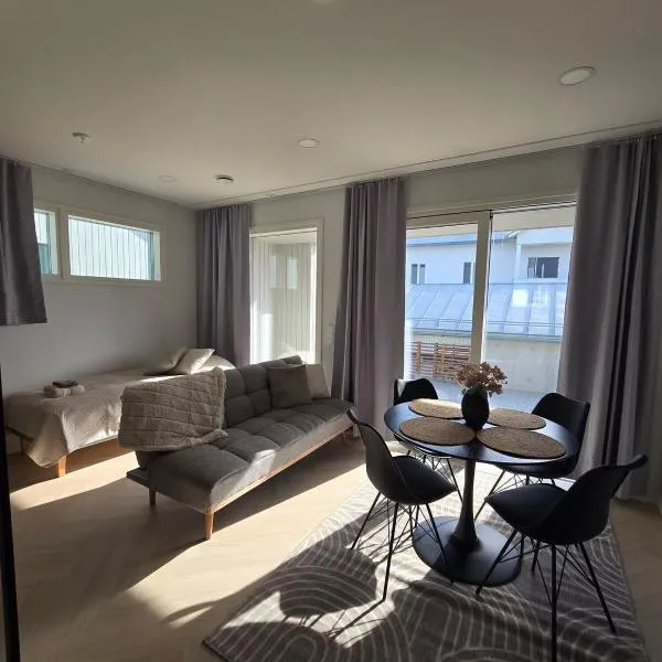 Apartment Hakalahdenkatu, hotel in Kokkola