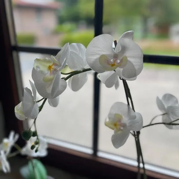 Suite 2 SZ- Lichtenberg, hotel din Salzgitter