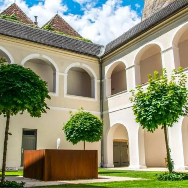 Smile Apartments zur Gozzoburg, hotel v destinácii Krems an der Donau