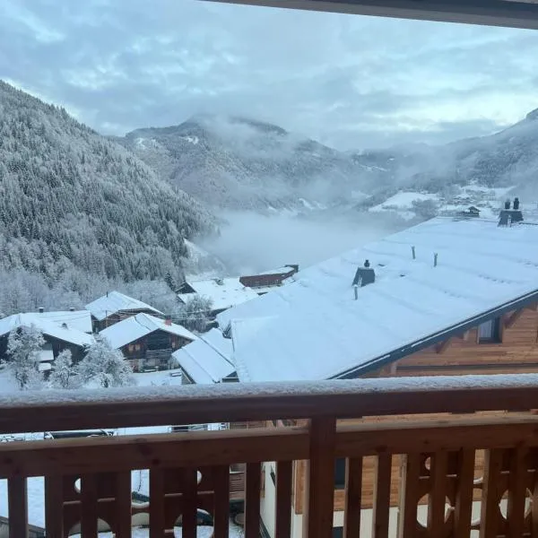 Snow Roc Mountain View, hotel in Saint-Jean-dʼAulps