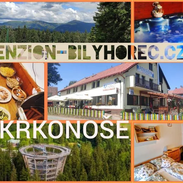 Pension Bílý Hořec, hotel ve Vrchlabí