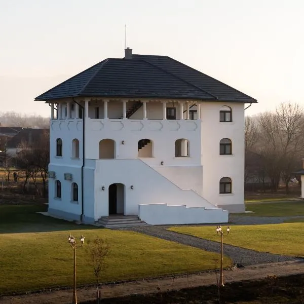 Pensiunea Cocosel, hotel di Căstău
