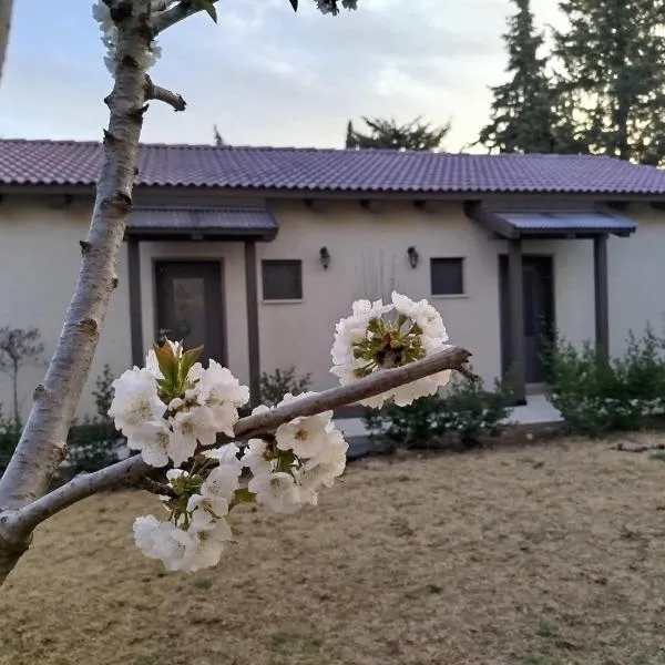 דצ'א - Дача - Dacha、El-Romのホテル