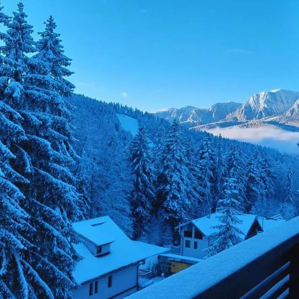 Vero Residence Predeal, hotel a Predeal