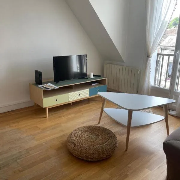 Amboise centre ville – hotel w mieście Amboise