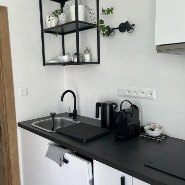 Apartmán ERUDITO Královský vršek Jihlava, hotel in Jihlava