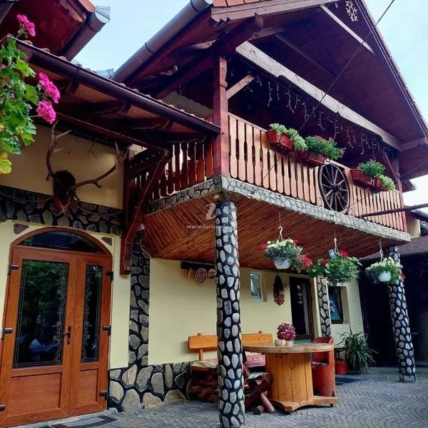 Pensiunea Călin, hotel in Gura Rîului