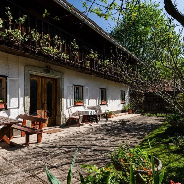 House, Garden and a Green Cat, hotel en Bled