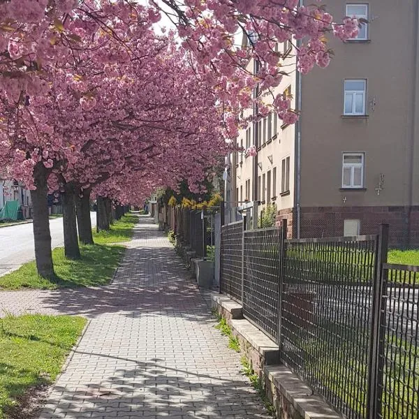 Apartmán Kumburská - Nová Paka, hotel v Nové Pace