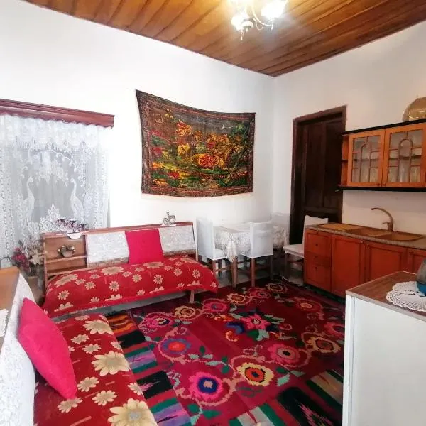Karagjozi Guesthouse, hotel in Gjirokastër